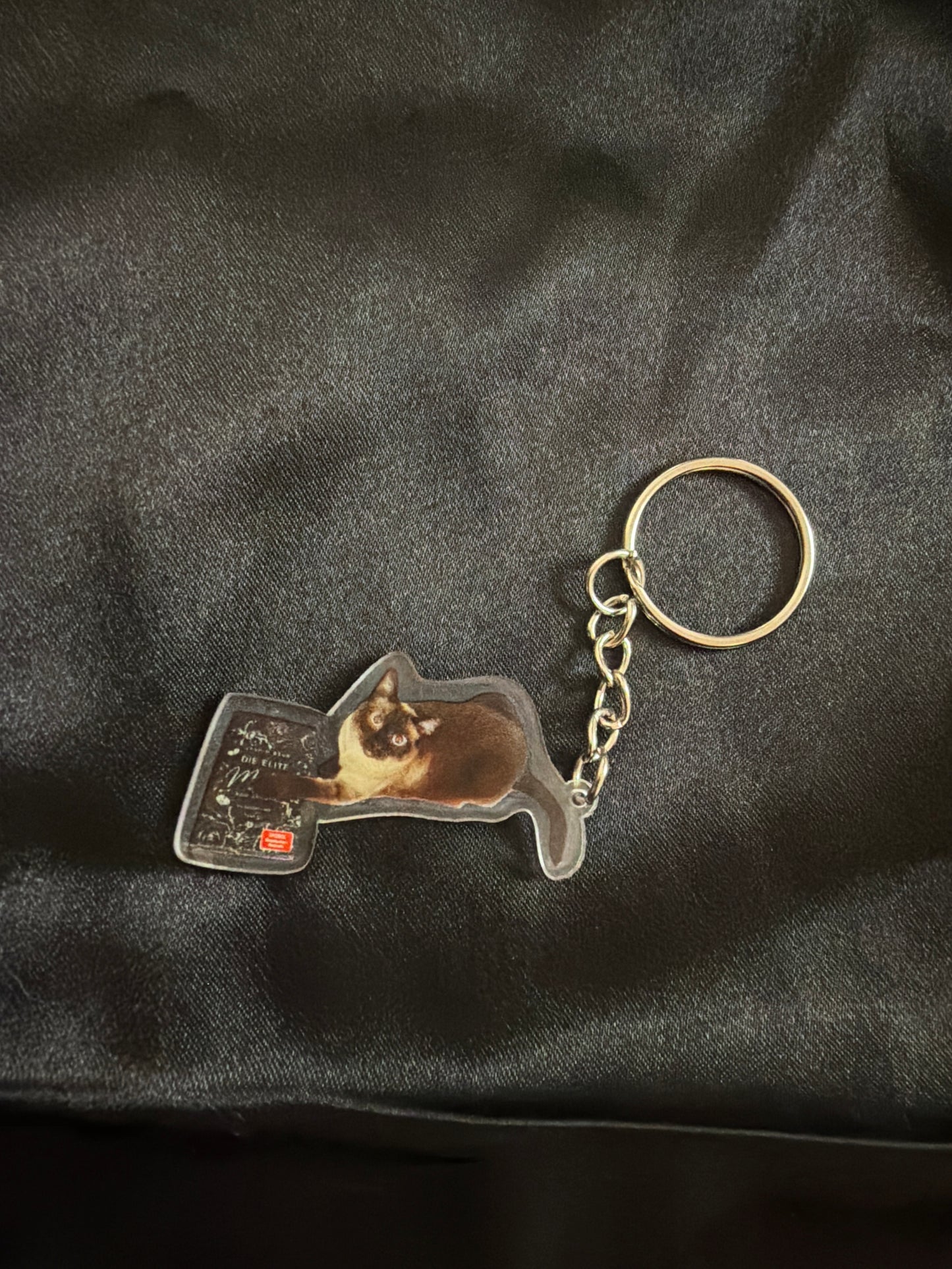 Entführt Schlüsselanhänger (Kitty)